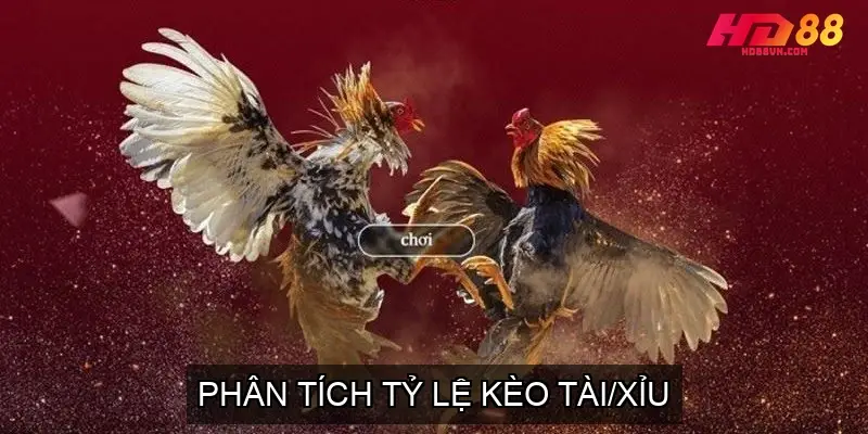 Phân Tích Tỷ Lệ Kèo Tài/Xỉu
