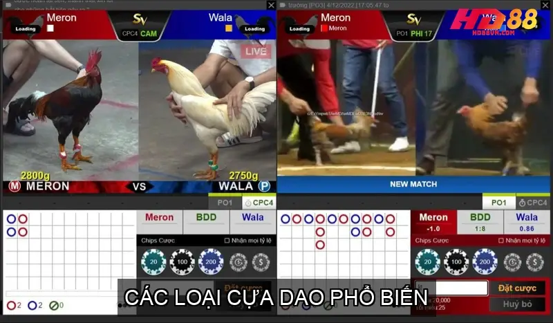 Các Loại Cựa Dao Phổ Biến