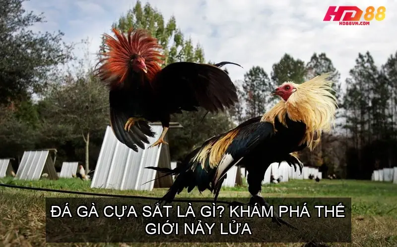 da ga cua sat 68f0d45640fa0