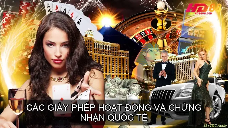 Các giấy phép hoạt động và chứng nhận quốc tế