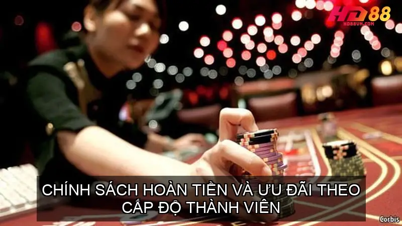 Chính sách hoàn tiền và ưu đãi theo cấp độ thành viên