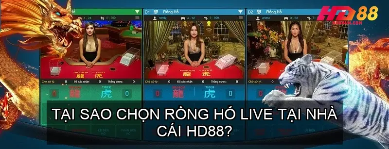 Tại Sao Chọn Rồng Hổ Live Tại HD88?