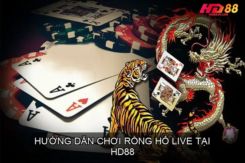 Hướng Dẫn Chơi Rồng Hổ Live Tại HD88