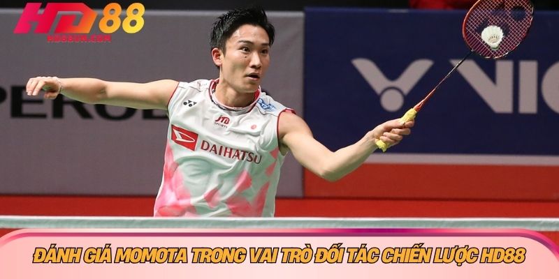 Đánh giá Momota trong vai trò đối tác chiến lược HD88