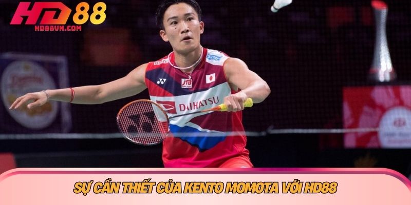 Sự cần thiết của Kento Momota với HD88