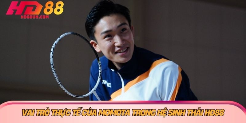Vai trò thực tế của Momota trong hệ sinh thái HD88